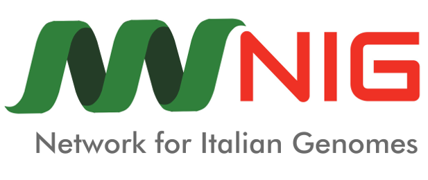 NIG Logo
